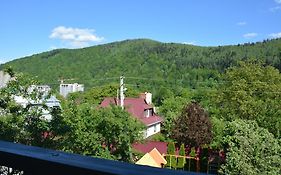 Буковець